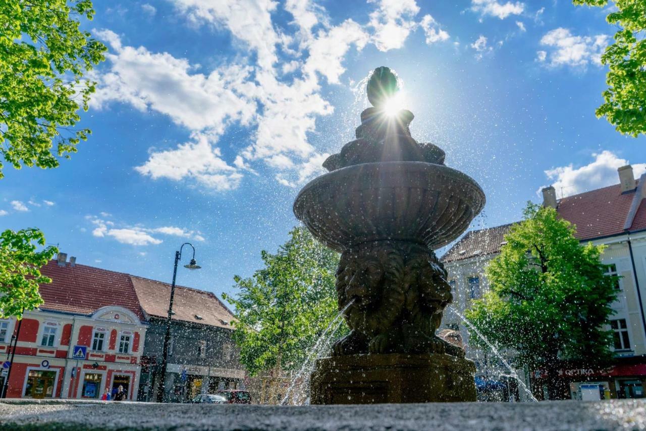 Penzion Homér Slaný Extérieur photo